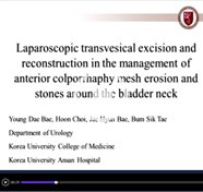 Laparoscopic approach for intravesical surgery using pneumovesicum in the management of anterior colporrhaphy mesh erosion and stones around the bladder neck