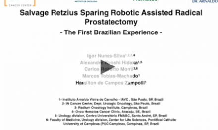 Salvage Retzius sparing robotic assisted radical prostatectomy: the first brazilian experience