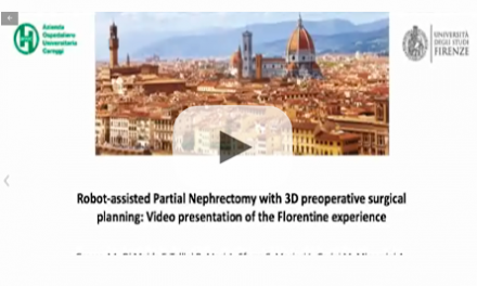 Robot-assisted partial nephrectomy with 3D preoperative surgical planning: video presentation of the florentine experience