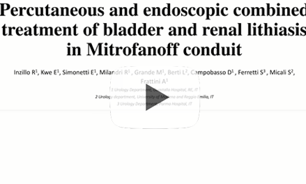 Percutaneous and endoscopic combined treatment of bladder and renal lithiasis in mitrofanoff conduit