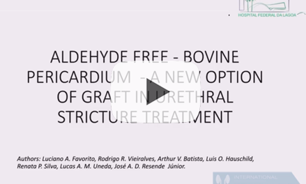 Aldehyde free – Bovine Pericardium – A New Option of Graft in Urethral Stricture Treatment