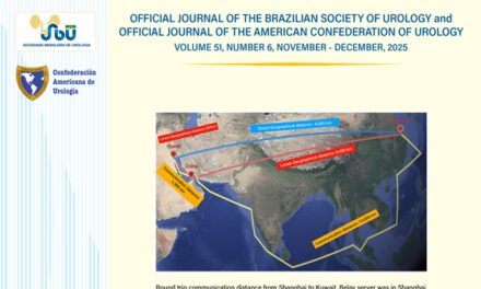 VOL. 51 N. 06, 2025