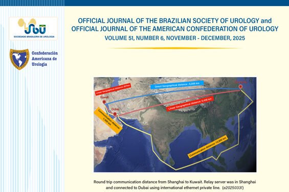 VOL. 51 N. 06, 2025