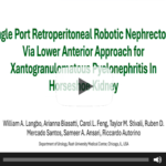 SP Retroperitoneal Robotic Nephrectomy via Lower Anterior Approach for Xanthogranulomatous Pyelonephritis in a Horseshoe Kidney